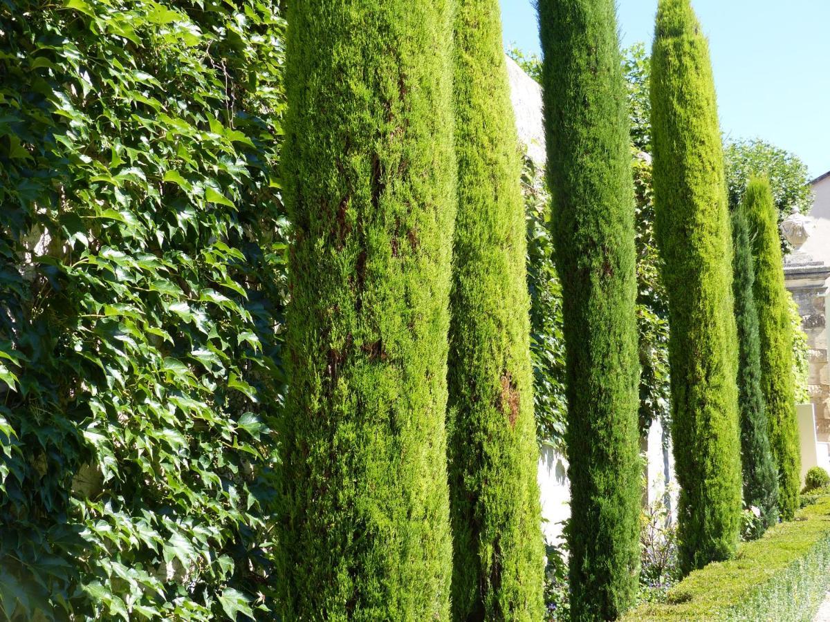 Frühstückspension Chateau Du Grand Jardin